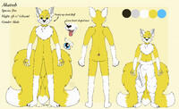 Akatosh ref sheet