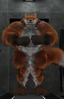 My fox fell into the transformer and this is the result.