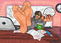 A Teacher's Life