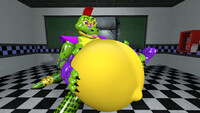 Monty Gator Belly 4