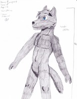 Ryuguard (aka Yiffcubs) Ref Sheet