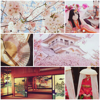 「 Kaede's Moodboard 」