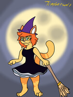 witch cat