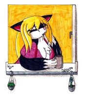 Out of the window