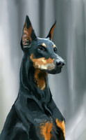 Portrait of an animal