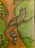 Janfurart2022 Nr.18 Confine