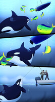 Orca mahi-mahi feast part 1
