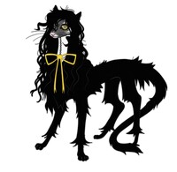Pet cat dragon