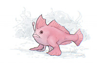 Good News! Pink Handfish