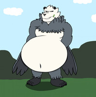 pangoro Fat Belly