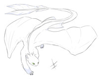 Male Light Fury sketch