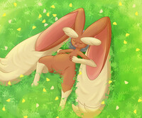 Flowers, Sunlight and a Full Belly