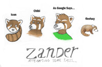 The Many Faces of Zander