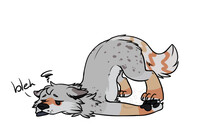 Sploot-2