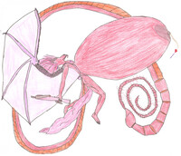 Sharing the Valentine Love