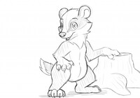 Badger sketch