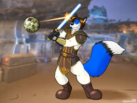Jedi Training