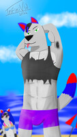 InfiniWolf at the beach