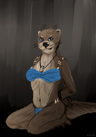 Captured Tribal Otter