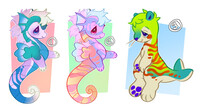 Charmsey Adopts!
