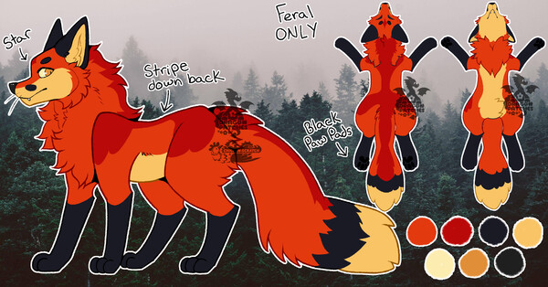 I'm An Adult Foxkin (Fox Therian), Are You? - HubPages