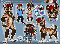Icarus [Reference Sheet]