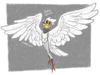 sybs [2021]