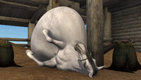 Face Hugged Horse