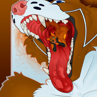 Fluffy fox snack!