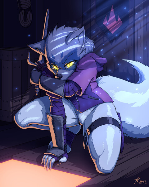 star fox adventures 2 by DullVivid -- Fur Affinity [dot] net