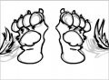 Foot paw. Flash