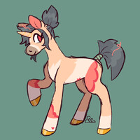 show pony
