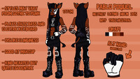 Pablo Poquel REF 2022