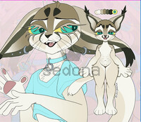 Caracal adopt 1/5 - Snow hare