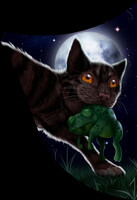 Midnight  Warrior cats by plush_nessie -- Fur Affinity [dot] net