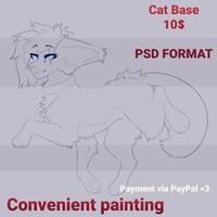 Cat Base (10$)
