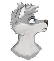 Practice - Wolf Side Profile