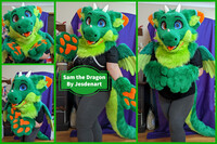 Sam - mini partial