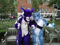 The Dragons are incharge 