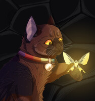 Midnight  Warrior cats by plush_nessie -- Fur Affinity [dot] net