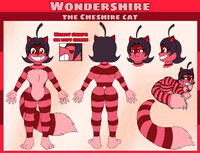 Meet Wondershire