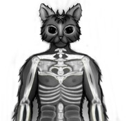 chris the black skeleton panther