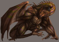 Muscular Wyvern
