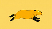She SPEED (GIF)