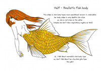 Mermaid's lower body type - Half-fish tail type by dragonflynetman
