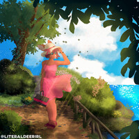 Searching For A Picnic Spot