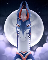 Gift from VK|For Wuure