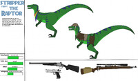 striper (stripy) the raptor