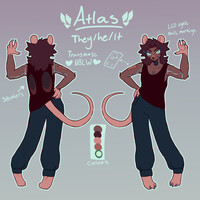 new fursona!