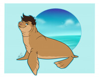 COMM Twitterlu Sea Lion